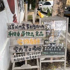 乌鲁木齐县大山小舍民宿·大山咖啡(BAR) User Photo