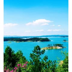丹水桥·地锅鱼(丹江口店) User Photo