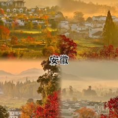 XIAO XI FU YOU CHA User Photo