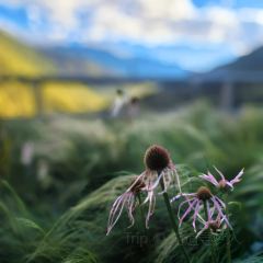 四姑娘山仰望星空·Vacilando度假庄园(长坪沟景区店)·猎户餐厅 여행 사진