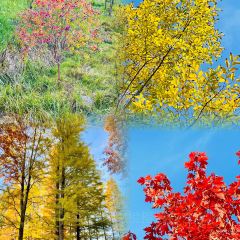 Old Kitchen User Photo