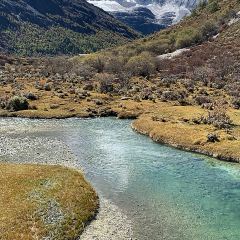 Baccarat Restaurant User Photo