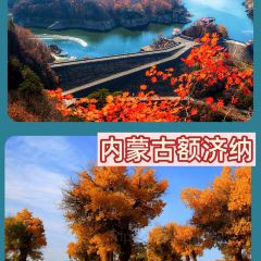 卡万金特色藏餐 User Photo