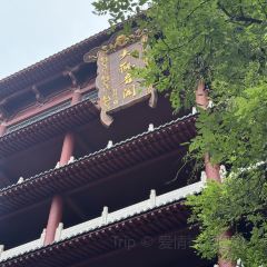 ZHENG XI WANG User Photo