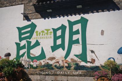 蒙自飞达糕点厂