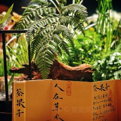 牡丹园·灵岩山房 User Photo