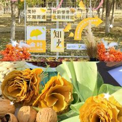 中街吊炉饼鸡蛋糕小吃部 User Photo