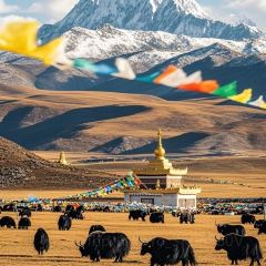 JUN WANG FU User Photo