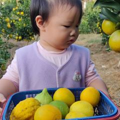 明味生態農莊張用戶圖片