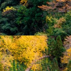 老李家燒烤·安吉網烤（安吉店）張用戶圖片