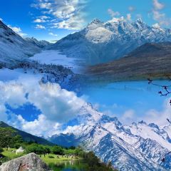 MALAYA TIBETAN RESTAURANT User Photo