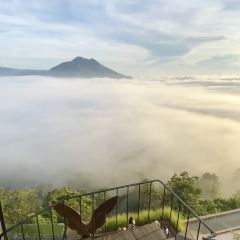 Akasa Coffee Kintamani User Photo