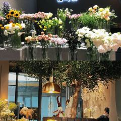 花屿厨 User Photo