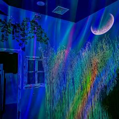 z先生密室逃脱(希望游园店) User Photo