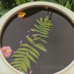 Shilily Qingmeixueshe User Photo
