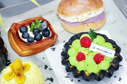 甜墅辣妈烘焙(万达金街店)