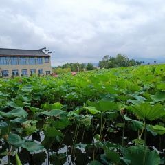潘铺生态休闲农庄 User Photo