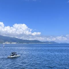 桔钓沙望月海鲜餐吧(大鹏游艇会店) User Photo