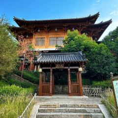 WEI ZHENG XIANG NONG GU CAI User Photo