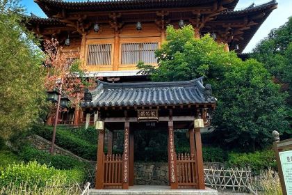 WEI ZHENG XIANG NONG GU CAI