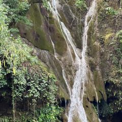 好家苑 User Photo