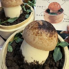 N·Father User Photo