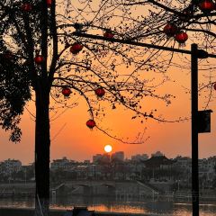 五弟嫂酒釀茶飲店張用戶圖片