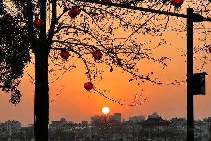 五弟嫂酒釀茶飲店