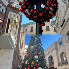 The Friendly Toast User Photo