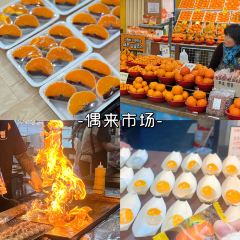감따남 착한농장 여행 사진