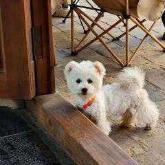耘熹咖啡 User Photo