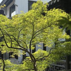 金海华·满庭芳(西门大街店) User Photo