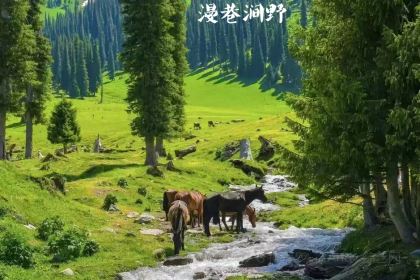 艾勒喀斯尔