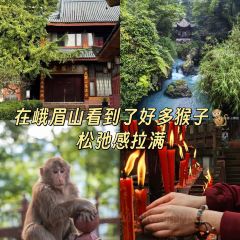 LAO NIU JIN User Photo