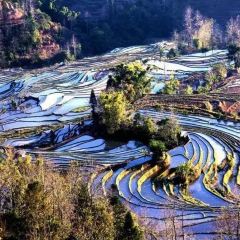 SA MA BA 여행 사진