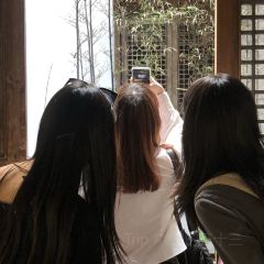 LANTINGJI·SHAOXINGCAI User Photo