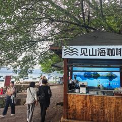 抚仙湖大知闲闲民宿·掌间 User Photo