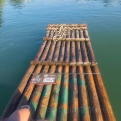 xin gui chu User Photo