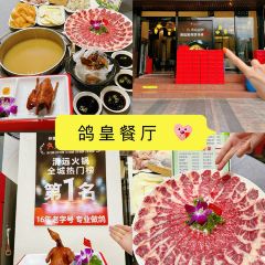 鸽皇餐厅·16年老字号·专业做鸽(东城店) User Photo