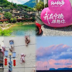 寿宁米糕(文笔嘉园店) User Photo