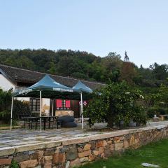 枇杷熟了coffee User Photo