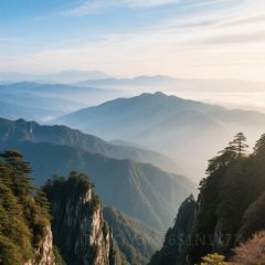 DOU XIANG SHI User Photo