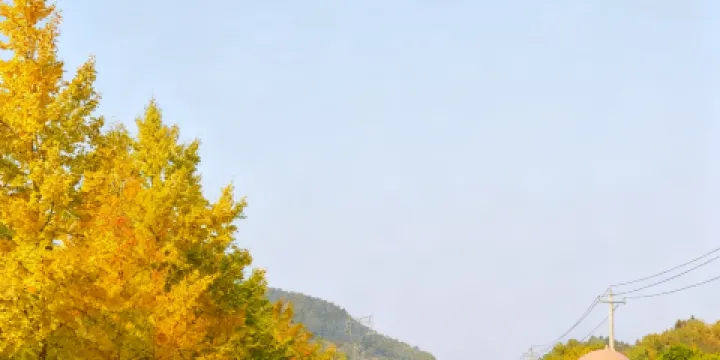 祁小猴驛站 茶咖·餐廳