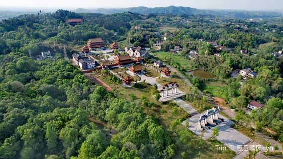 Peach Hill Forest Park