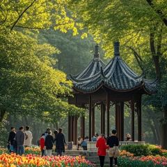 三中高皇羊肉館張用戶圖片