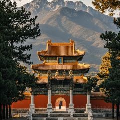 Baijiazhaobing User Photo