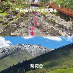 ZHENG FEI DAIRY User Photo