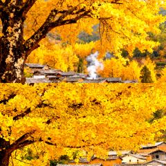 Cun Da Guan User Photo