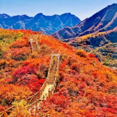 XU XIANG LI LAO FANG ZI User Photo