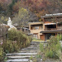 Abuluzicang Restaurant (jiuzhaigou) User Photo